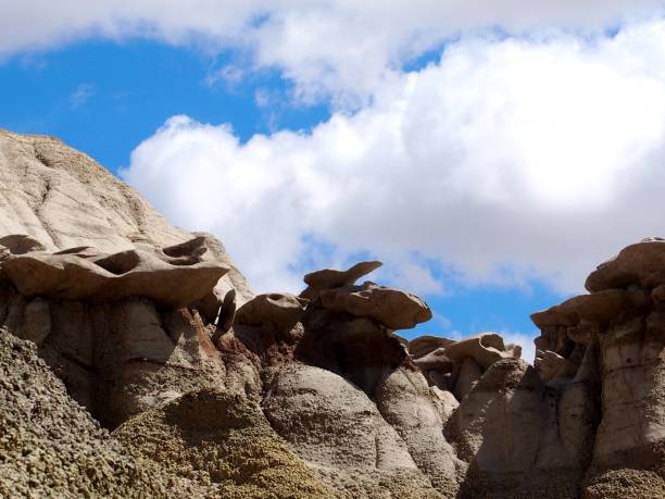istock BISTI DE-NA-ZIN WILDERNESS - NM 1024254080