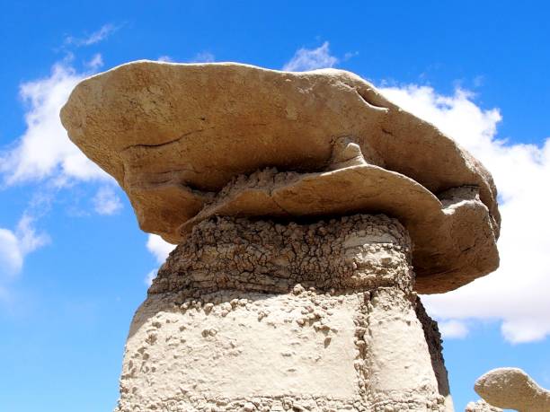istock BISTI DE-NA-ZIN WILDERNESS - NM 1024263830
