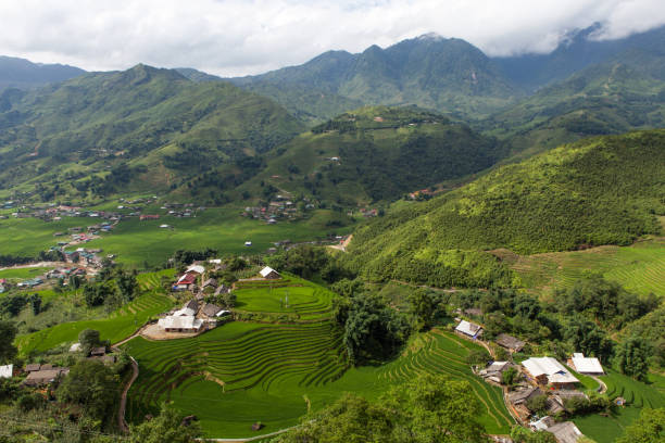 istock rice paddies, Vietnam 1024280186