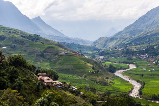 istock rice paddies, Vietnam 1024281066