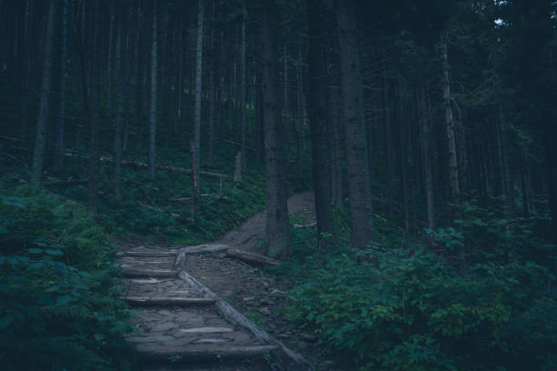 istock Mysterious hiking trail in the mountains 1024281352