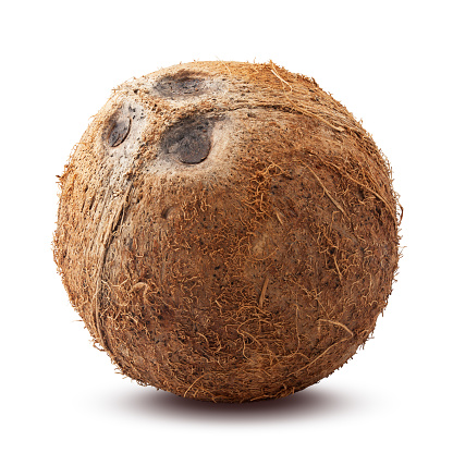 coconut whole, isolated on white background, full depth of field