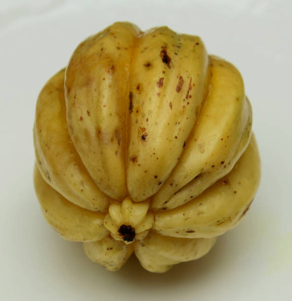 istock Garcinia cambogia also know pot tamarind 1024303118
