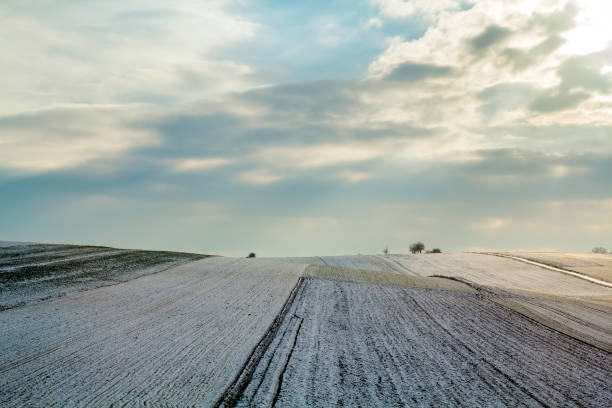 istock Sunrise over winter green field. Rural landscape. 1024311214