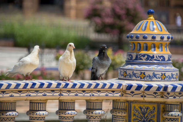 プラザ デ ラ スペイン、セビリア、アンダルシア、スペイン - plaza de espana sevilla town square seville ストックフォトと画像