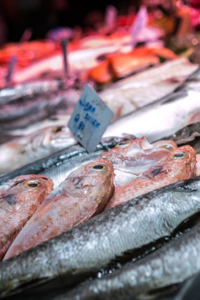 istock Fish in ice | market | seabass | dorado 1024331668