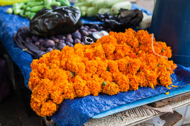 istock Fake or Imeritinsky saffron flowers marigolds 1024339150
