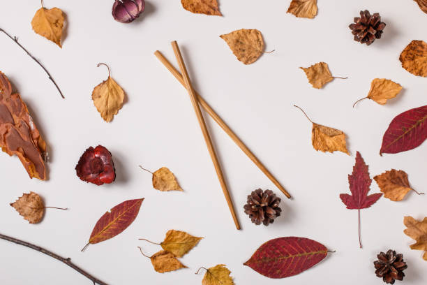 istock Autumn background with asian chopsticks 1024363586