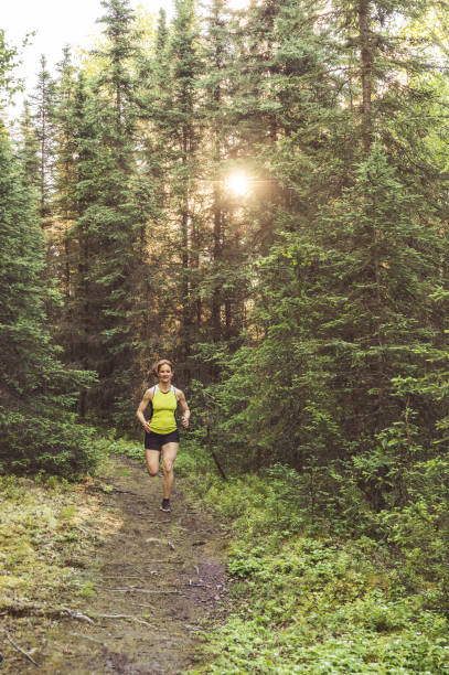 istock Woman trail running in the forest 1024366852