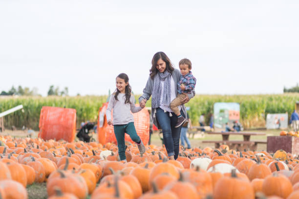 istock Beautiful ethnic mom and her daughters at a pumpkin farm 1024377420