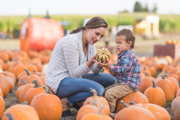 istock Mom and her little boy at the pumpkin patch 1024377442