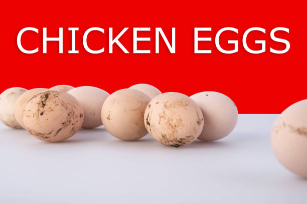 Group of dirty chicken eggs on gray background, with shadows and text chicken eggs on red background. Healthy food concept Group of dirty chicken eggs on gray background, with shadows and text chicken eggs on red. Healthy food concept mud hen stock pictures, royalty-free photos & images