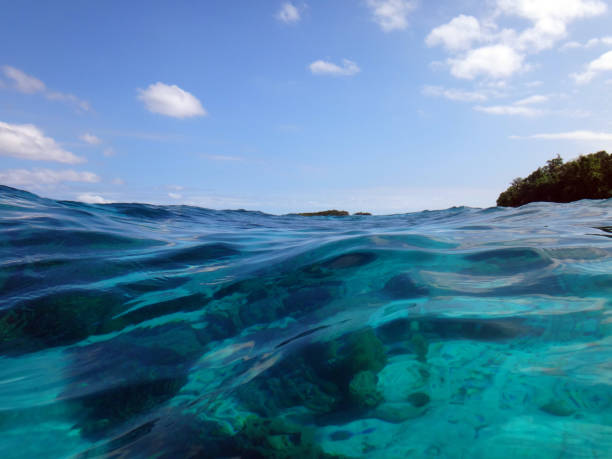 istock Sealife of Tranquility Island, Efate, Vanuatu 1024384238