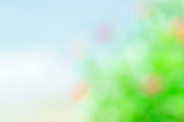 istock Abstract backgrounds with green bokeh lights 1024390754