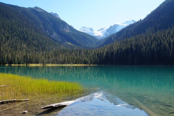 istock Lower Joffre Lake, Canada 1024399664