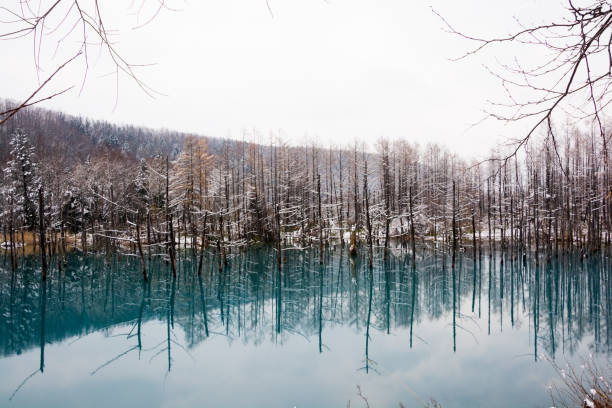 istock Blue pond in early winter Biei 1024406642