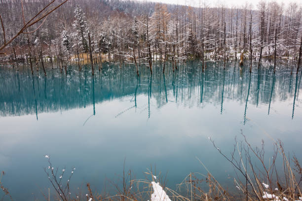 istock Blue pond in early winter Biei 1024407506