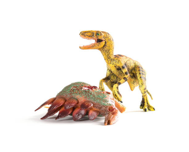 istock velociraptor with a stegosaurus body nearby on white background 1024417622