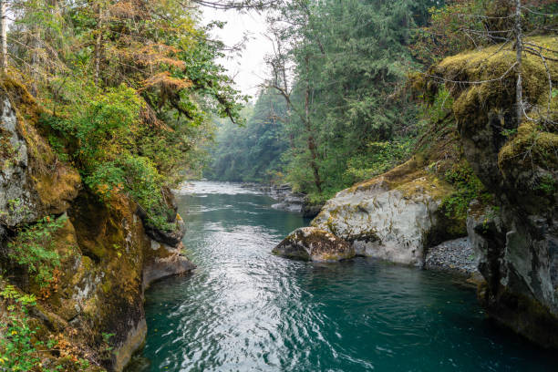 istock Dosewallips river in Olympic National Park on the Olympic Peninsula 1024432424