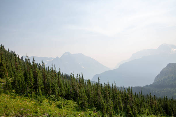 национальный парк ледник - montana british columbia glacier national park mountain mountain range стоковые фото и изображения