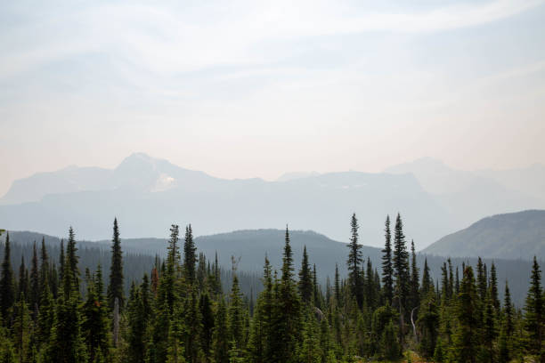 glacier-nationalpark - montana british columbia glacier national park mountain mountain range stock-fotos und bilder