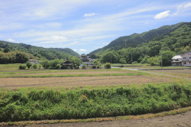 istock a View through tram window of the country side 1024440888