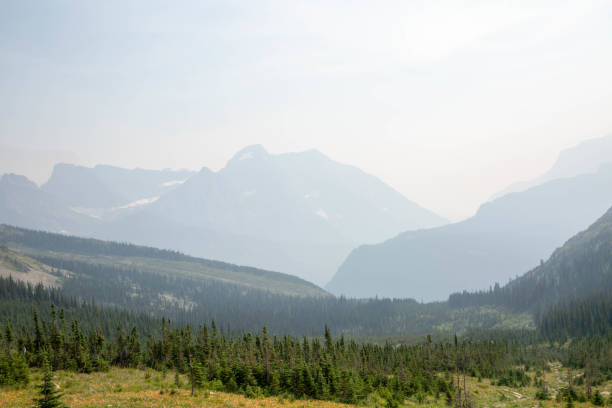 национальный парк ледник - montana british columbia glacier national park mountain mountain range стоковые фото и изображения