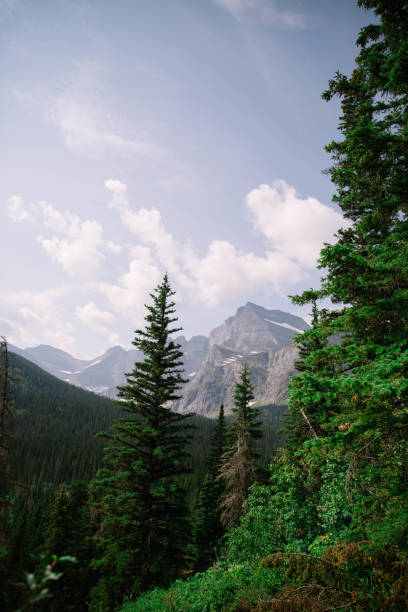istock Grinnell Glacier at Glacier National Park 1024443912