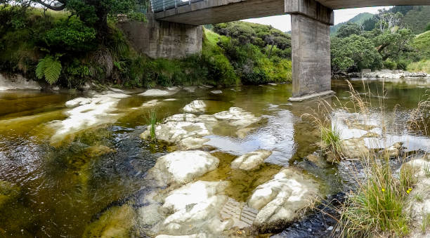 istock Lovely river in the bush 1024453958