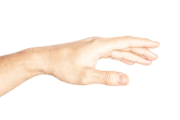 istock Hand open and ready to help or receive. Gesture isolated on white background with clipping path. 1024454356
