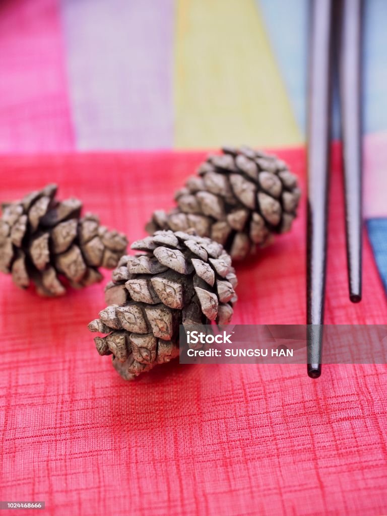 Koreas Small Pine Cones Stock Photo - Download Image Now - Asia, Autumn,  Backgrounds - iStock
