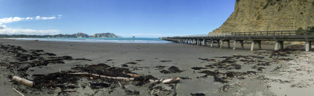 Ancient historic long wooden pier Beauty in nature in rural new zealand panoramic riverbank architecture construction site stock pictures, royalty-free photos & images