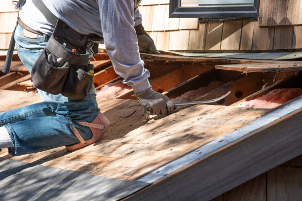 削除古い屋根の屋根葺き職人 - home improvement construction house nail ストックフォトと画像