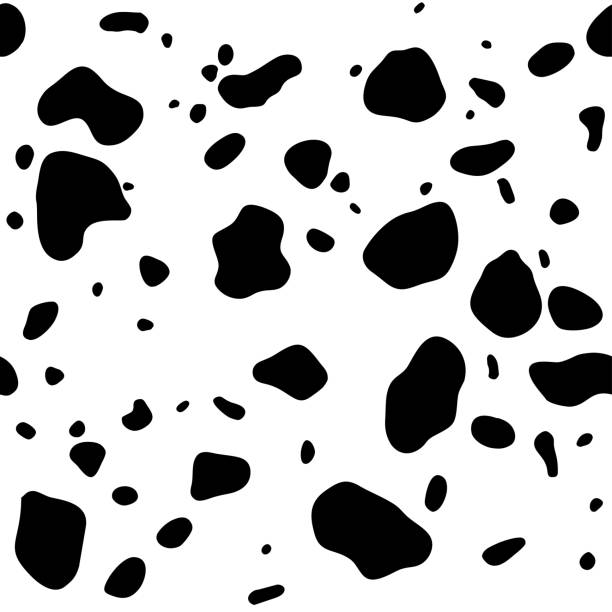 Seamless pattern. Cow or dalmatian. Spots. Black and white.  Animal print, texture. Vector background. Cow skin texture, black and white spot repeated seamless pattern. Animal print dalmatian dog stains. Vector dog splashing stock illustrations