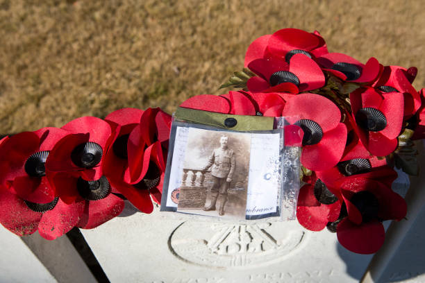 ww1 soldat in erinnerung - flanders war grave war memorial stock-fotos und bilder