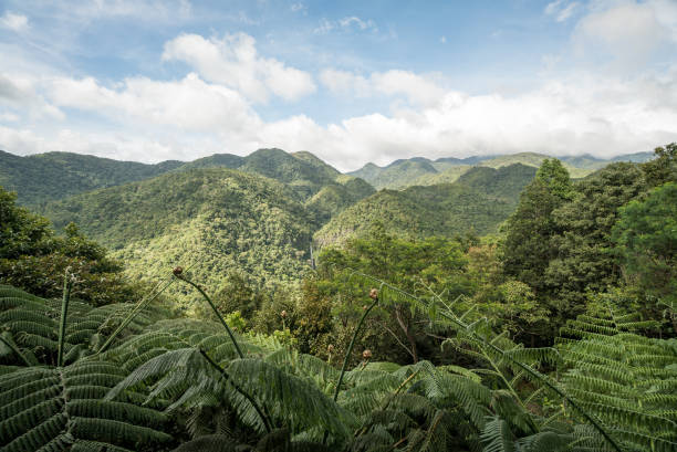 istock Can you spot the waterfall? 1024540382