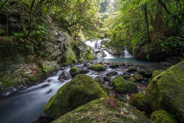 One of Patag Mountain's many waterfalls.