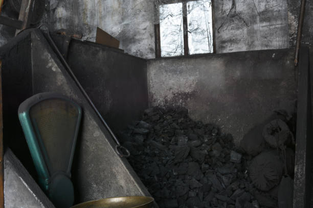 규모와 석탄 저장소 - qatar senegal 뉴스 사진 이미지