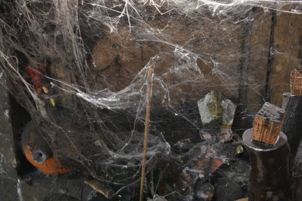 istock The House of Spiders 1024552590
