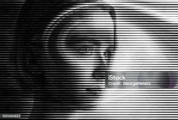 Halftone Pattern Face One Young Womans Face With Half Tone Pattern Stock Illustration ...