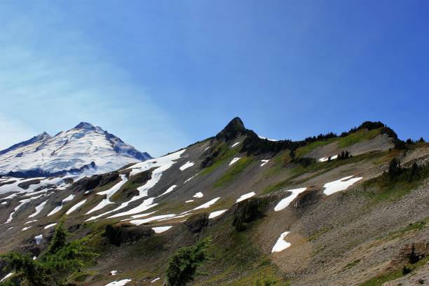 wilde alpine - trail in richtung mount baker - north cascades national park awe beauty in nature cloud stock-fotos und bilder