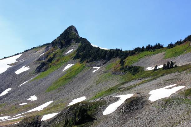 alpino selvaggio - sentiero verso il monte baker - north cascades national park awe beauty in nature cloud foto e immagini stock