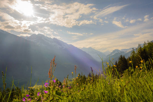 istock Summer dawn in the Swiss alps 1024564368