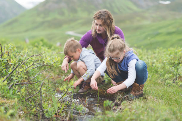 istock Mom looks for fish in a tiny Alaska stream with her two children 1024572990