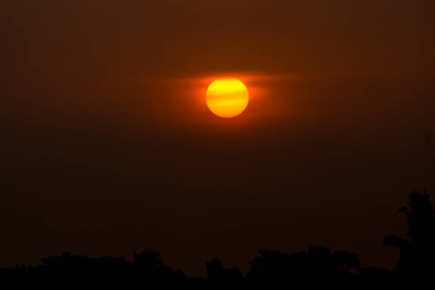 istock sun with trees dark clouds sunset sunrise 1024573518