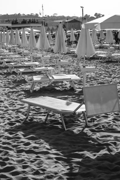 istock Beach chairs and umbrellas in a row - black and white 1024589704