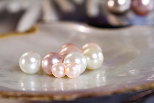 a group of pearl on the shell have some differance color and size showing in jewelry store