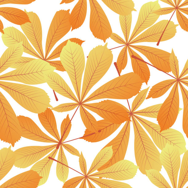 blätter der kastanie. vergilbte laub. herbstliche musterdesign. - chestnut chestnut tree backgrounds seamless stock-grafiken, -clipart, -cartoons und -symbole