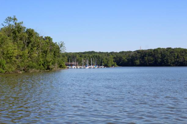 istock Lake at the Marina Area 1024629380