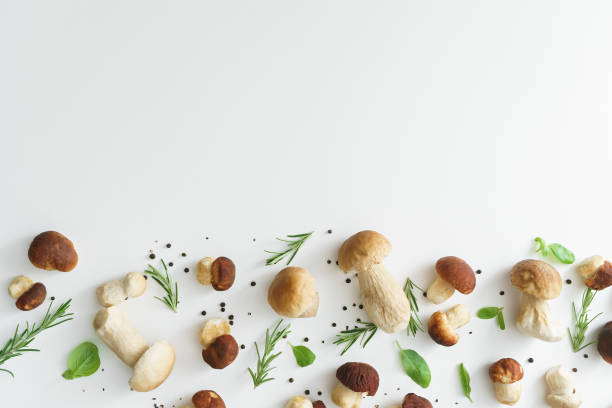 istock white mushrooms with basil, rosemary and pepper  on white table 1024634236